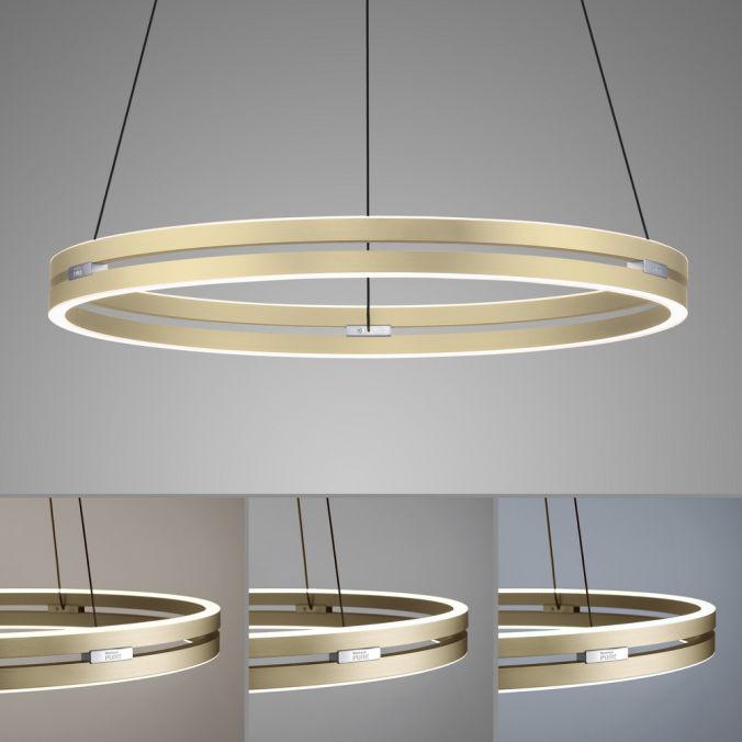 Paul Neuhaus Paul Neuhaus LED Pendelleuchte PURE-E-LOOP messing matt elektrisch 50% Rabatt mit kostenlosem Versand