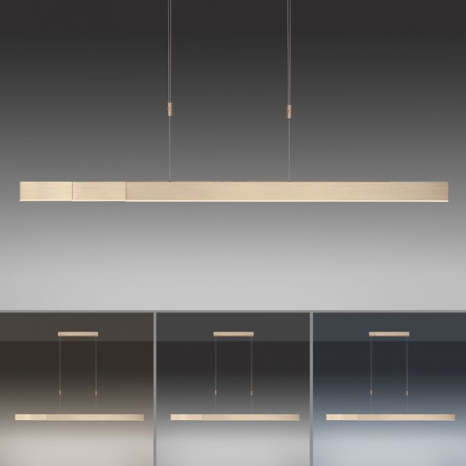 Paul Neuhaus Paul Neuhaus PURE MOTO e-SLIDE® messing elektrisch ausfahrbar Pendelleuchte Speichern exportieren