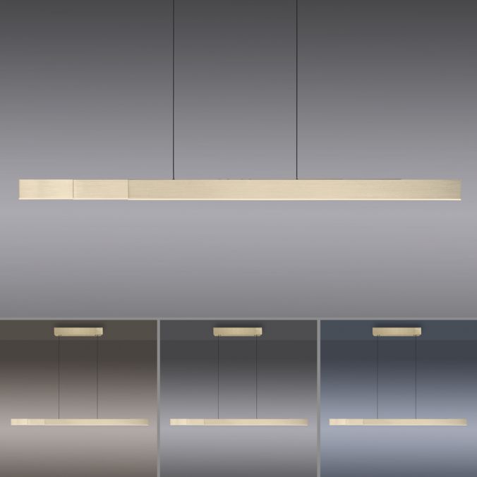 Paul Neuhaus Paul Neuhaus LED Pendelleuchte PURE-MOTO-RISE messing matt elektrisch Touch Black Friday Preise