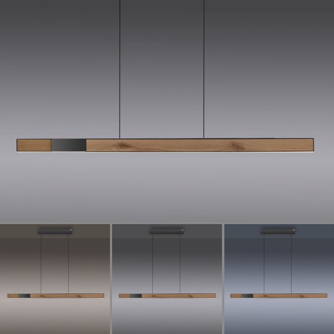 Paul Neuhaus Paul Neuhaus LED Pendelleuchte PURE-MOTO-RISE Holz natur elektrisch Touch zollfrei