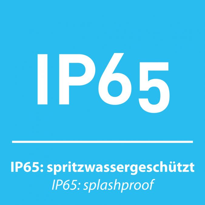 Paul Neuhaus LED Außenwandleuchte, anthrazitfarben, eckig, modernes Design, IP65 Meist gekauft