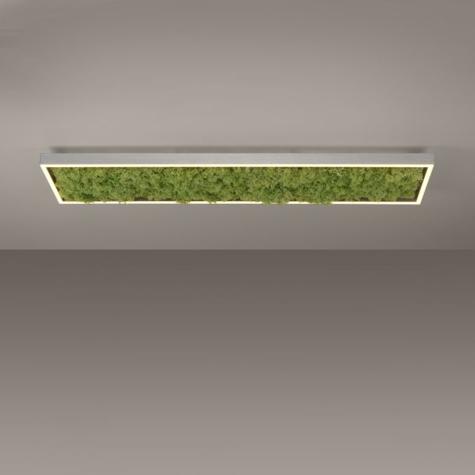 Paul Neuhaus LED Deckenleuchte rechteckig Islandmoos Simplydim Technik Wohnlampe Sonderangebote