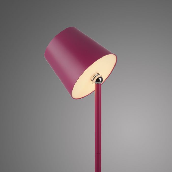 Paul Neuhaus LED Flaschenleuchte pink Akku Touchdimmer USB IP54 Tischleuchte Super Rabatt
