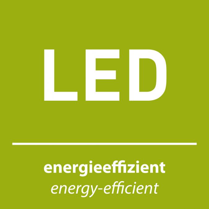 Paul Neuhaus LED-Deckenleuchte, Sternenhimmeldekor, Lichtfarbsteuerung, Dimmfunktion Kostenloser Versand