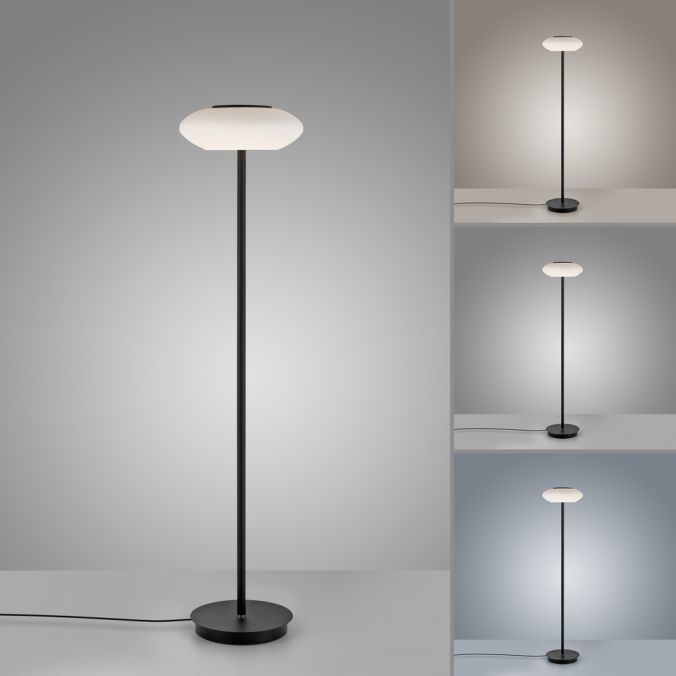 Paul Neuhaus Paul Neuhaus Q ETIENNE LED Stehleuchte Smart Home schwarz dimmbar CCT Neueste Stile
