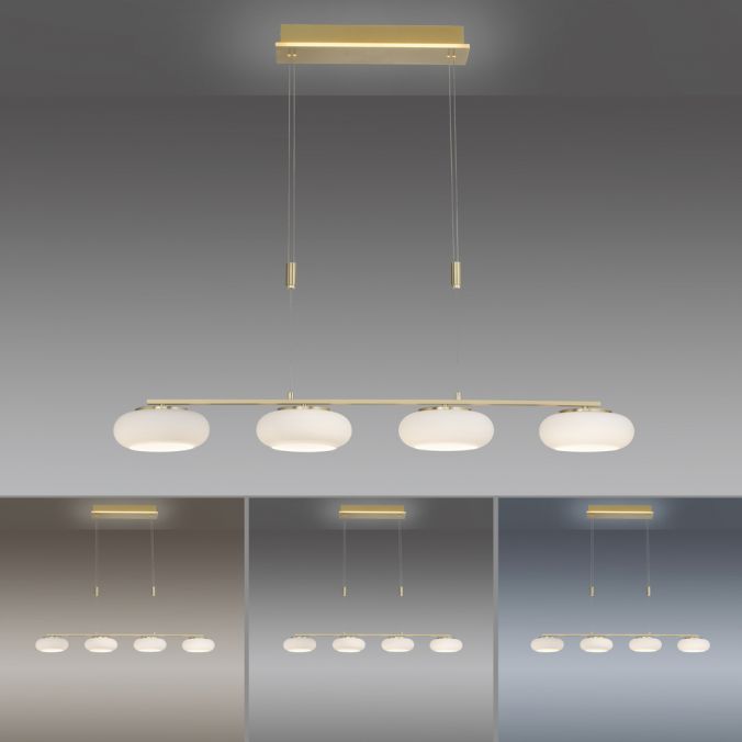 Paul Neuhaus Paul Neuhaus Q ETIENNE Pendelleuchte Smart Home messing länglich 4 flammig Nur für heute