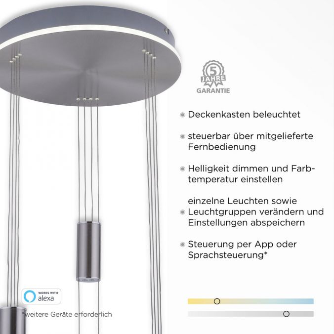 Paul Neuhaus Paul Neuhaus, Q-ETIENNE, LED Pendelleuchte stahl, Smart Home Vierteljährliche Förderung