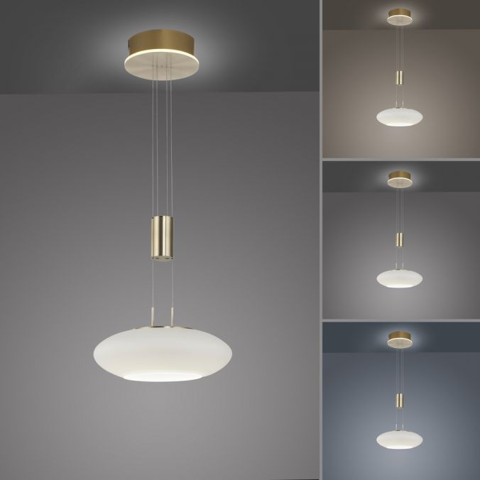 Paul Neuhaus Paul Neuhaus Q ETIENNE Pendelleuchte Smart Home messing rund 1 flammig Discount Store für neue Produkte