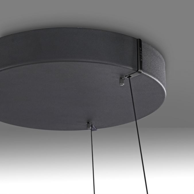 Paul Neuhaus Paul Neuhaus LED Pendelleuchte PURE E-Loop schwarz D=70cm e-LIFT Riesige Rabatte