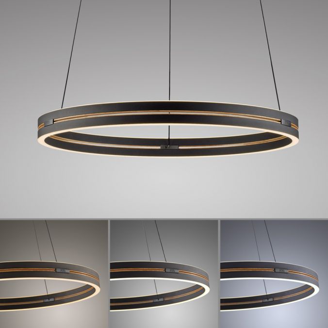 Paul Neuhaus Paul Neuhaus LED Pendelleuchte PURE E-Loop schwarz D=70cm e-LIFT Riesige Rabatte