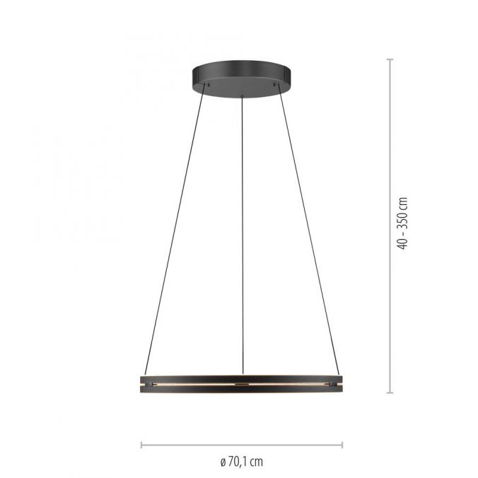 Paul Neuhaus Paul Neuhaus LED Pendelleuchte PURE E-Loop schwarz D=70cm e-LIFT Riesige Rabatte