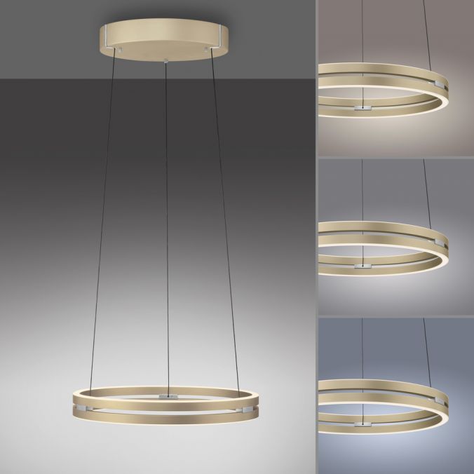 Paul Neuhaus Paul Neuhaus LED Pendelleuchte PURE E-Loop messing matt e-LIFT 50% Rabatt mit kostenlosem Versand