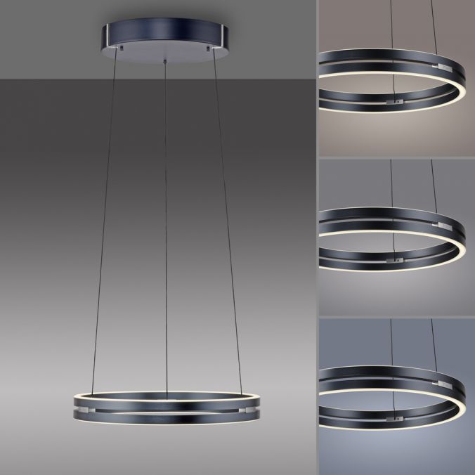 Paul Neuhaus Paul Neuhaus LED Pendelleuchte PURE E-Loop grau eloxiert e-LIFT Clearance-Verkauf