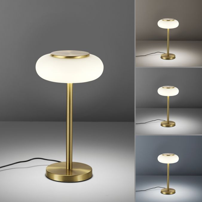 Paul Neuhaus Paul Neuhaus Q ETIENNE Tischleuchte Smart Home messingfarbig dimmbar rund Super Rabatt