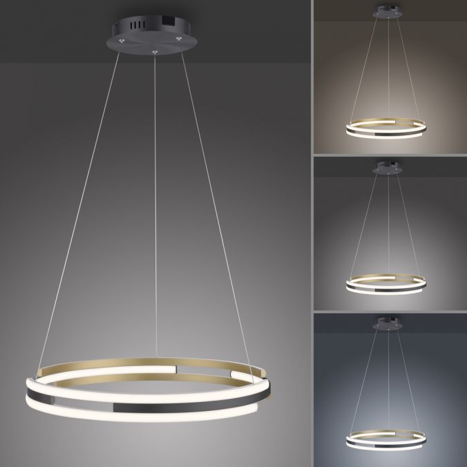 Paul Neuhaus Paul Neuhaus LED Pendelleuchte Q-BELUGA messing matt Smart Home dimmbar Fabrikladen