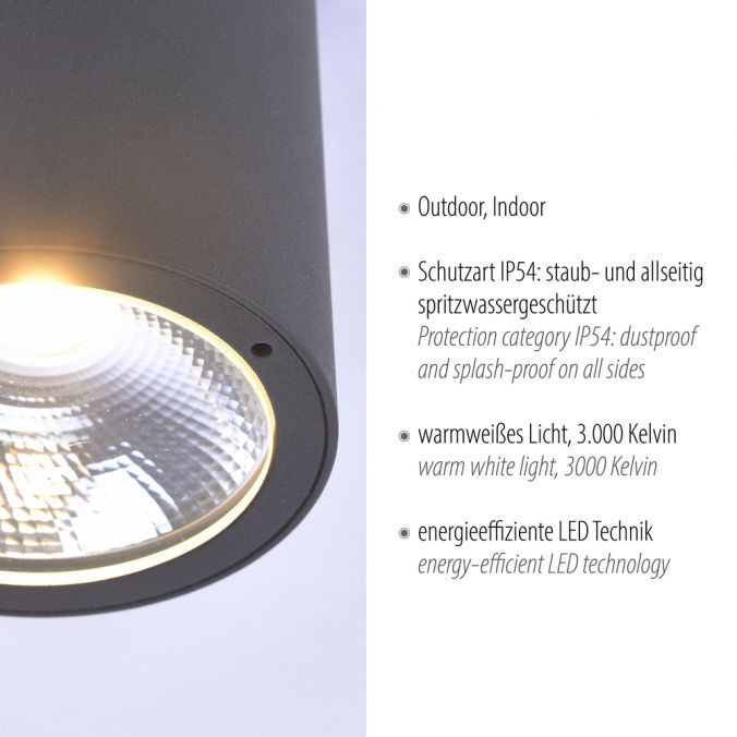 Paul Neuhaus LED-Außenaufbaustrahler, anthrazit, Zylinderform, warmweiße Lichtfarbe Sonderangebote
