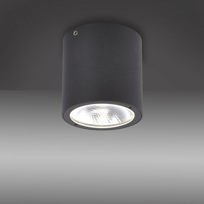 Paul Neuhaus LED-Außenaufbaustrahler, anthrazit, Zylinderform, warmweiße Lichtfarbe Sonderangebote
