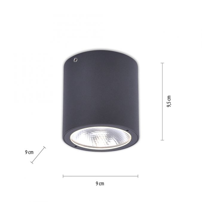 Paul Neuhaus LED-Außenaufbaustrahler, anthrazit, Zylinderform, warmweiße Lichtfarbe Sonderangebote