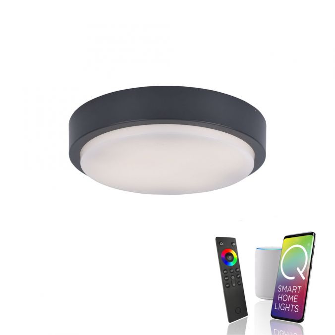 Paul Neuhaus Paul Neuhaus, Q-LENNY, Außenleuchte, Deckenleuchte, RGB, dimmbar, Smart Home