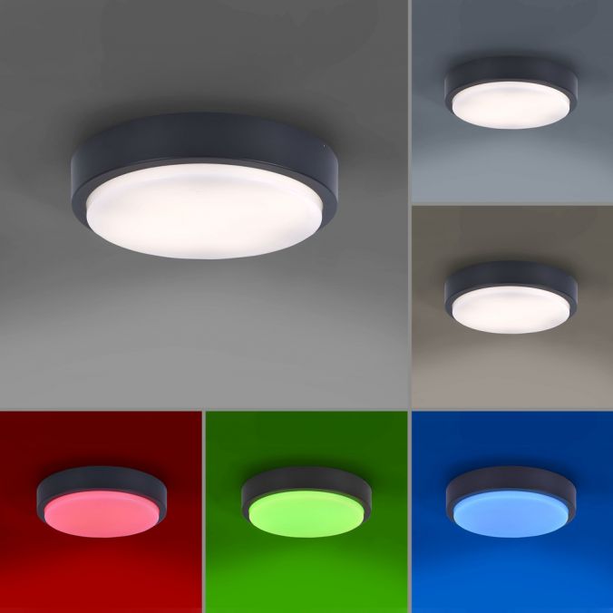 Paul Neuhaus Paul Neuhaus, Q-LENNY, Außenleuchte, Deckenleuchte, RGB, dimmbar, Smart Home Outlet