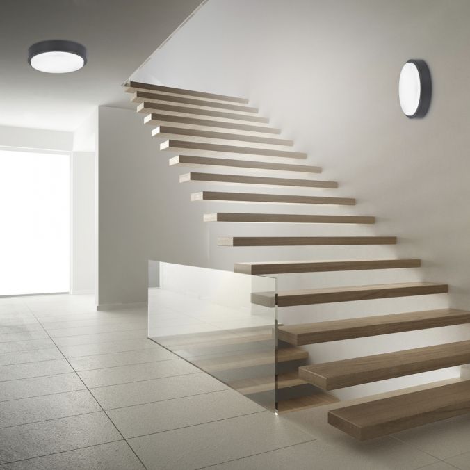 Paul Neuhaus Paul Neuhaus, Q-LENNY, Außenleuchte, Deckenleuchte, RGB, dimmbar, Smart Home Outlet