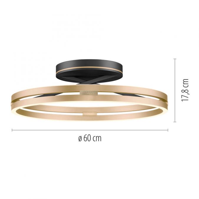 Paul Neuhaus Paul Neuhaus LED Deckenleuchte PURE Loop schwarz-messing Fernbedienung Jubiläumsangebot