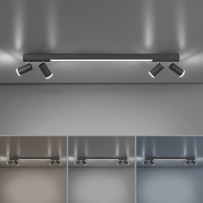 Paul Neuhaus Paul Neuhaus PURE LINES SPOT LED Strahler anthrazit dimmbar drehbar CCT Saisonale Angebote