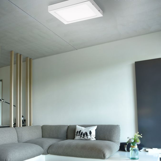 Paul Neuhaus LED-Einbauleuchte, weiß, quadratisch, warmweiß, dimmbar, blendfrei, modern Kostenloser Versand