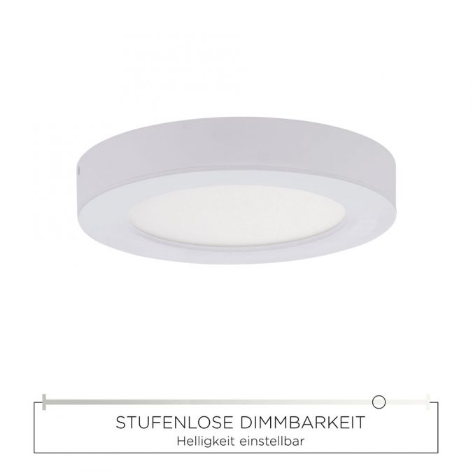 Paul Neuhaus LED Einbauleuchte, Aufbauleuchte weiß, weißes Kunststoffglas Fabrik Onlineshop