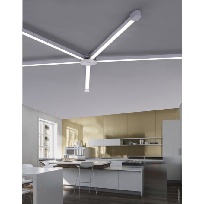 Paul Neuhaus Paul Neuhaus, Q-SPIDER, Lichtprofil, dimmbar, Fernbedienung, Smart-Home Zeitbegrenzte Promotion