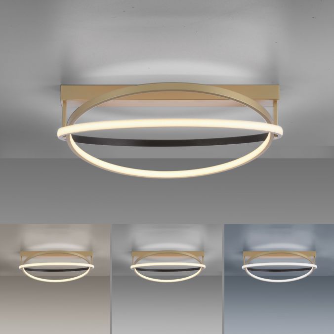 Paul Neuhaus Paul Neuhaus LED Deckenleuchte Q-BELUGA messing matt dimmbar Smart Home Bis zu 55% Rabatt