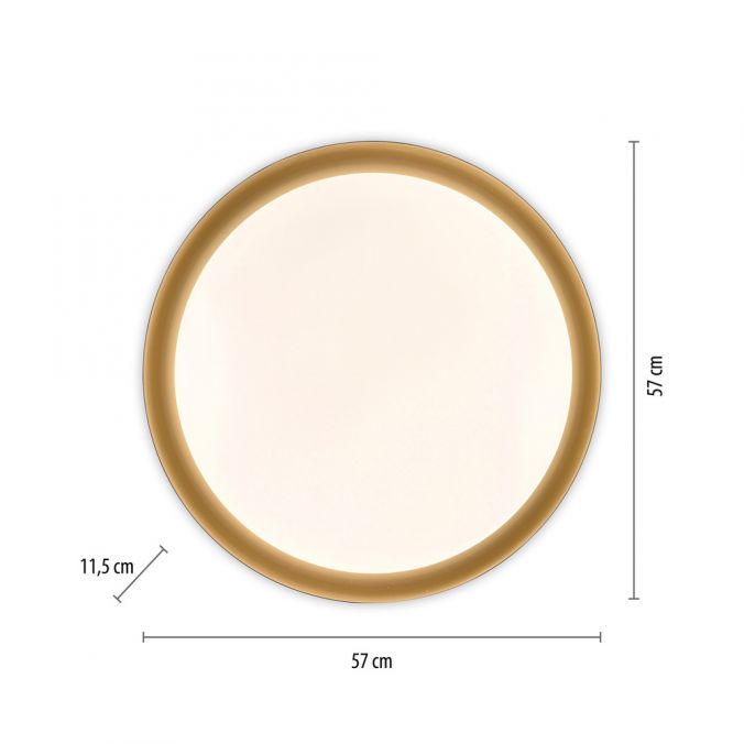 Paul Neuhaus LED Deckenleuchte D=57 schwarz gold dimmbar per Fernbedienung CCT Nur noch ein Tag übrig