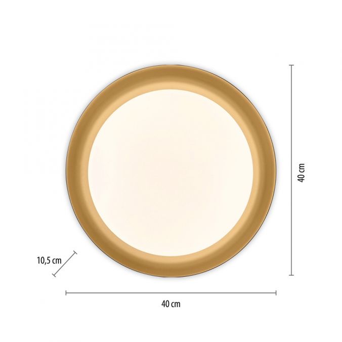 Paul Neuhaus LED Deckenleuchte D=40 schwarz dimmbar per Fernbedienung CCT Super Rabatt