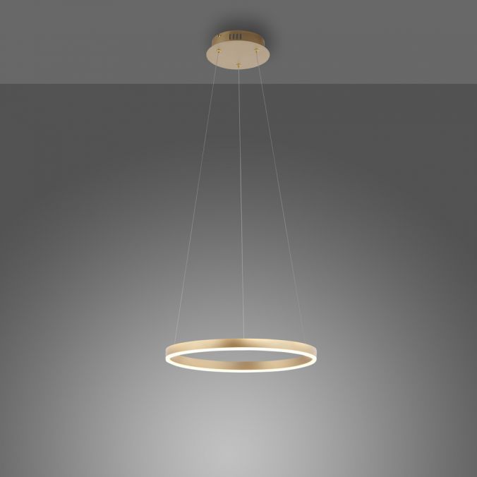 Paul Neuhaus LED Pendelleuchte messing matt rund Ø40cm dimmbar Switchmo warmweiß Kostenloser Versand