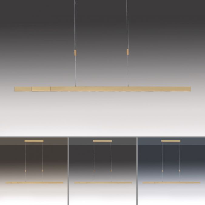 Paul Neuhaus LED Pendelleuchte, messing matt, lineares, filigranes Design, Touchdimmer Weihnachtsangebot