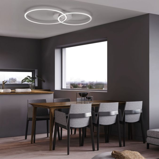 Paul Neuhaus LED Deckenleuchte, ringförmig, warmweiß, dimmbar, 2 flammig, filigran Lagerräumung