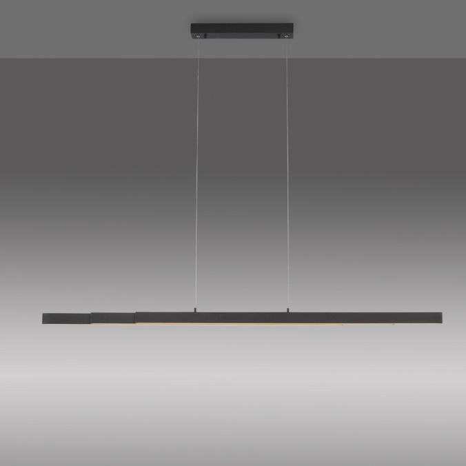 Paul Neuhaus LED Pendelleuchte, anthrazit, höhenverstellbar, ausziehbar Kauf eins, bekomm eins gratis