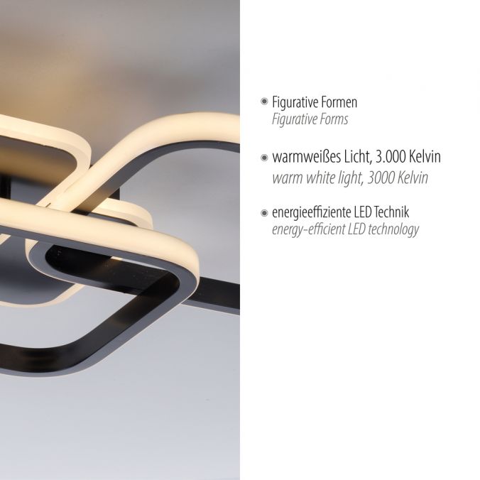 Paul Neuhaus LED Deckenleuchte eckig schwarz warmweiß modern Wochenangebot