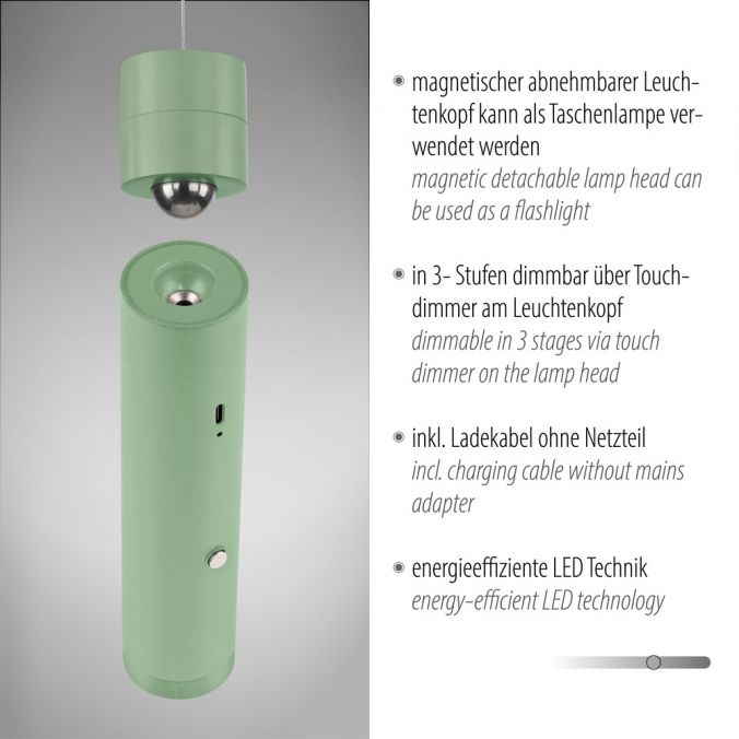 Paul Neuhaus LED Pendelleuchte grün höhenverstellbar magnetischer Kopf Akku Discount Store für neue Produkte