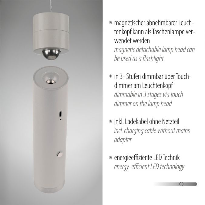 Paul Neuhaus LED Pendelleuchte greige höhenverstellbar magnetischer Kopf Akku Nur noch ein Tag übrig