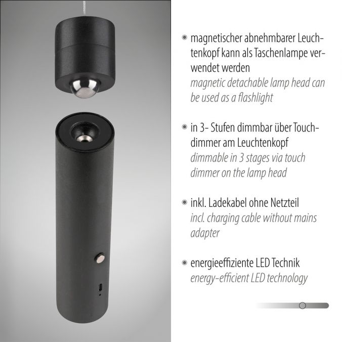 Paul Neuhaus LED Pendelleuchte schwarz höhenverstellbar magnetischer Kopf Akku Super Rabatt