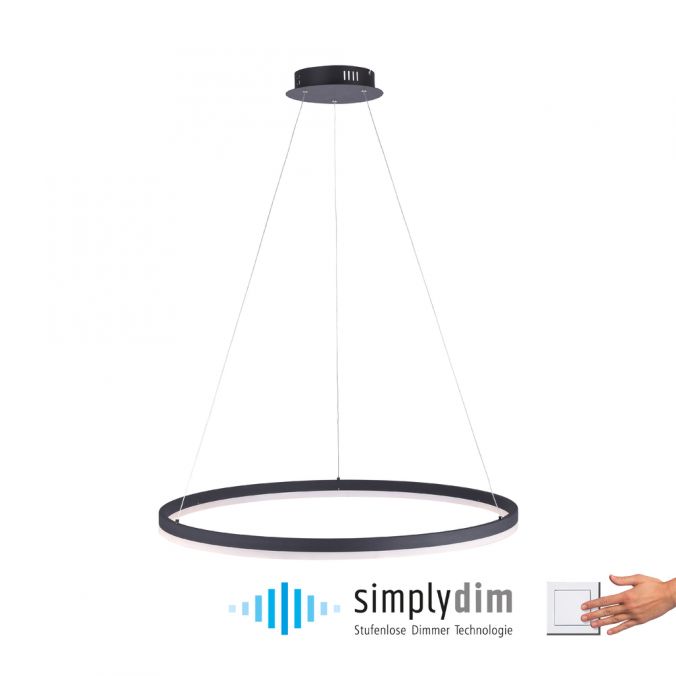 Paul Neuhaus LED Pendelleuchte, rund, anthrazit, Ø 80cm, dimmbar, modern, warmweiß
