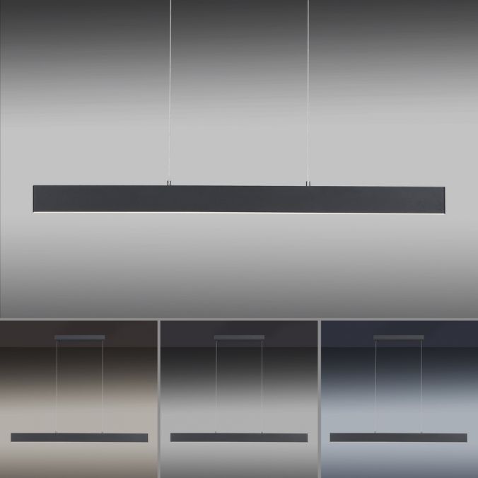 Paul Neuhaus LED Pendelleuchte, anthrazit, lineares Design, höhenverstellbar, modern Blitzangebot