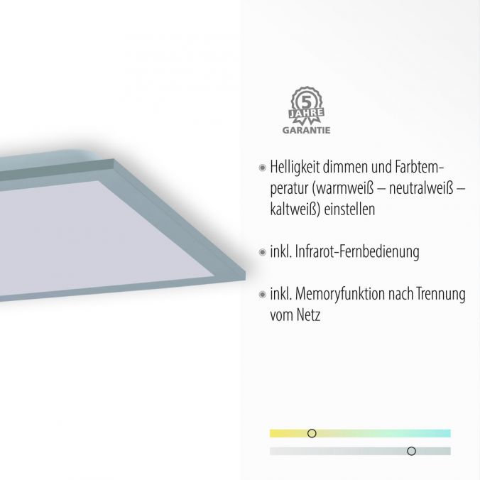 Paul Neuhaus LED-Panel, Rahmen silberfarbig, 120x30cm, platzsparend, dimmbar Im Verkauf