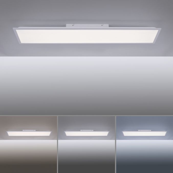 Paul Neuhaus LED-Panel, Rahmen silberfarbig, 120x30cm, platzsparend, dimmbar Im Verkauf