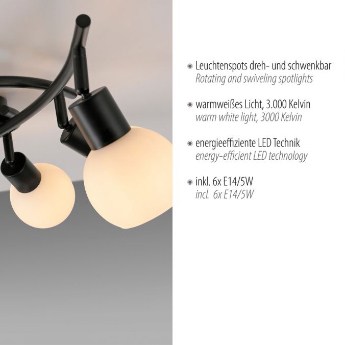 Paul Neuhaus LED Deckenleuchte 6 flammig schwarz Spot drehbar Opalglas zeitlos Blitzverkäufe