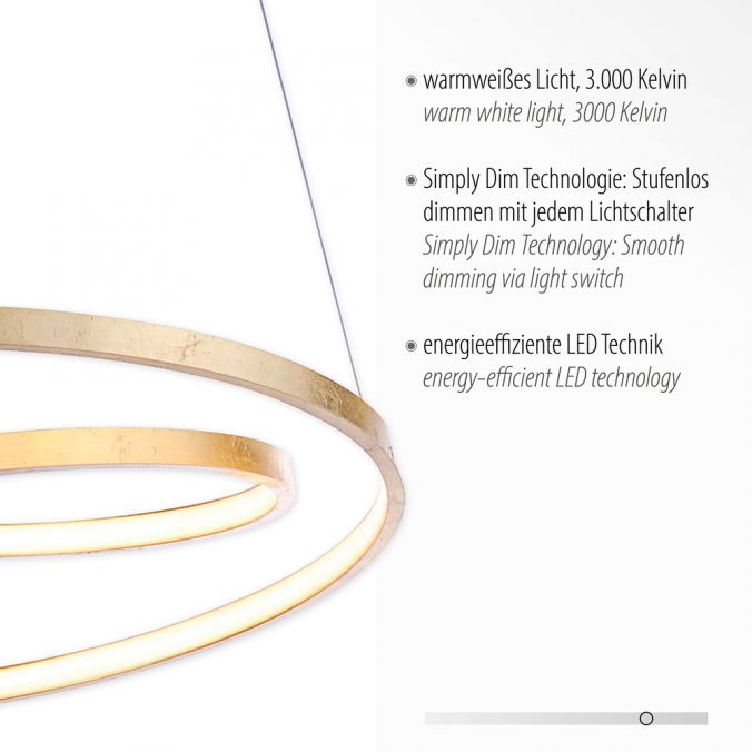 Paul Neuhaus LED-Pendelleuchte, gold, geschwungener Leuchtring, Dimmfunktion, modern Großer Ausverkauf