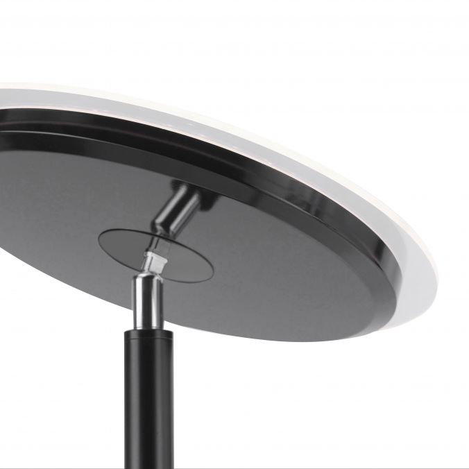 Paul Neuhaus LED-Deckenfluter, schwarz, verstellbaren Fluterkopf, Stehlampe Sonderangebote