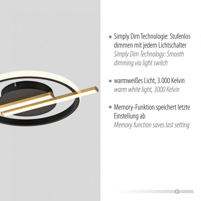 Paul Neuhaus LED Deckenleuchte messing matt modern SimplyDim Memoryfunktion Im Verkauf