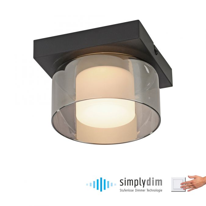 Paul Neuhaus Paul Neuhaus LED Deckenleuchte 1 flammig dimmbar per Switchmo Rabatte dieses Monats